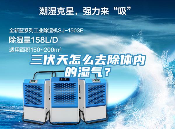 三伏天怎么去除體內(nèi)的濕氣？