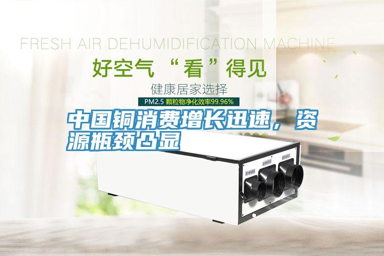 中國銅消費(fèi)增長迅速，資源瓶頸凸顯