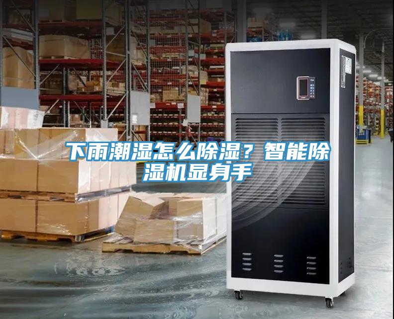 下雨潮濕怎么除濕？智能除濕機(jī)顯身手