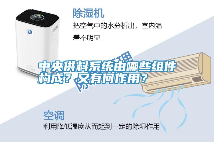 中央供料系統(tǒng)由哪些組件構成？又有何作用？