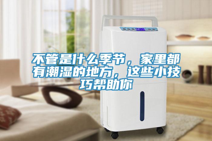 不管是什么季節(jié)，家里都有潮濕的地方，這些小技巧幫助你