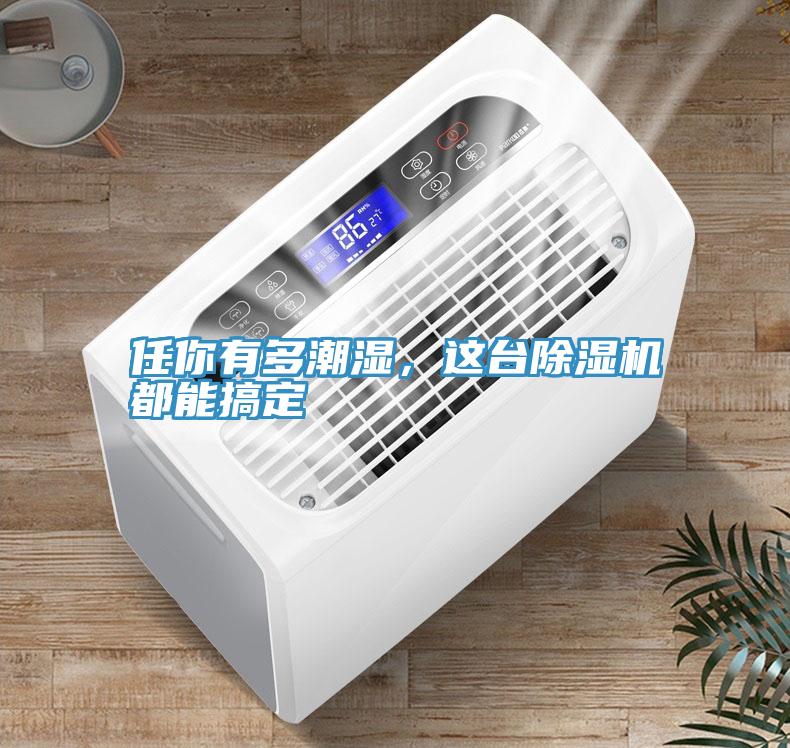 任你有多潮濕，這臺(tái)除濕機(jī)都能搞定