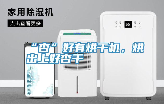 “杏”好有烘干機(jī)，烘出上好杏干