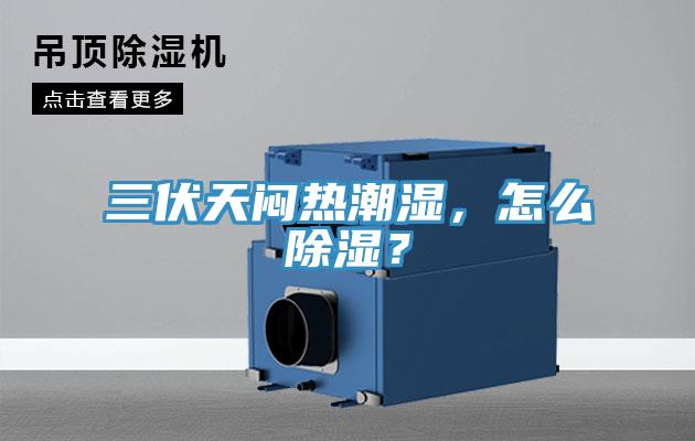 三伏天悶熱潮濕，怎么除濕？