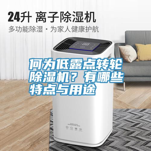 何為低露點轉(zhuǎn)輪除濕機(jī)？有哪些特點與用途