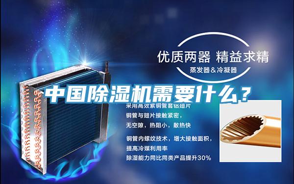 中國除濕機需要什么？