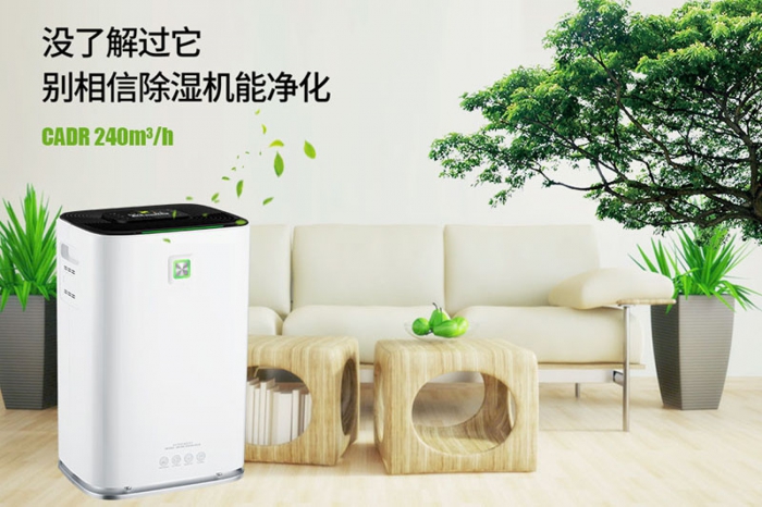 一到回南天狗狗就感冒+皮膚病，怎么辦？