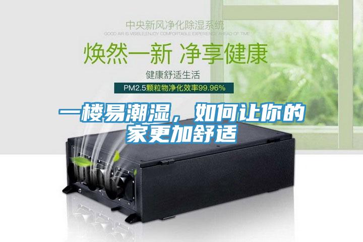 一樓易潮濕，如何讓你的家更加舒適