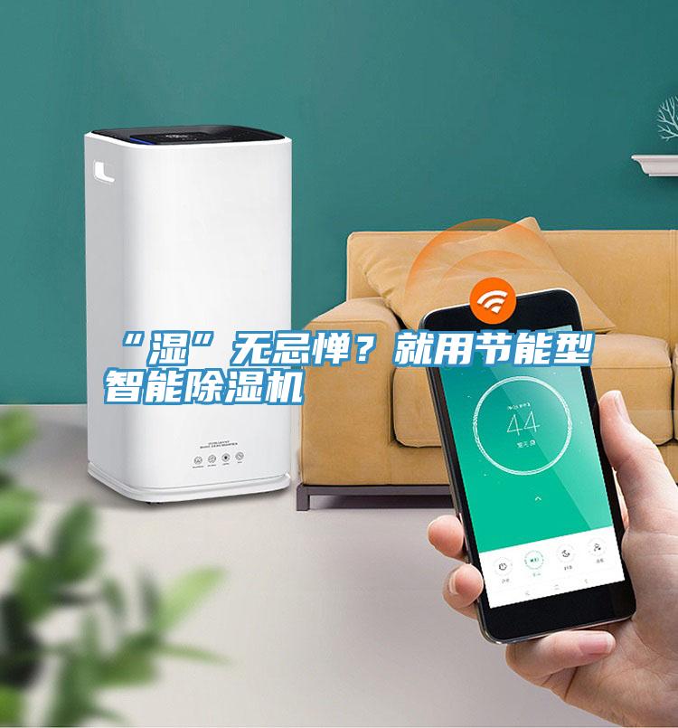 “濕”無(wú)忌憚？就用節(jié)能型智能除濕機(jī)