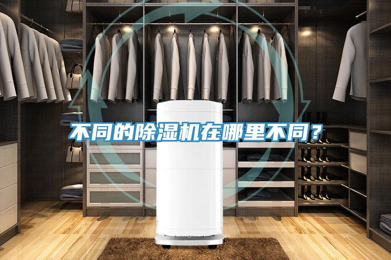 不同的除濕機在哪里不同？