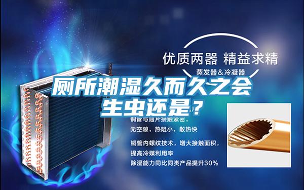 廁所潮濕久而久之會(huì)生蟲還是？