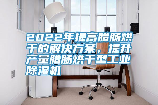2022年提高臘腸烘干的解決方案，提升產(chǎn)量臘腸烘干型工業(yè)除濕機(jī)