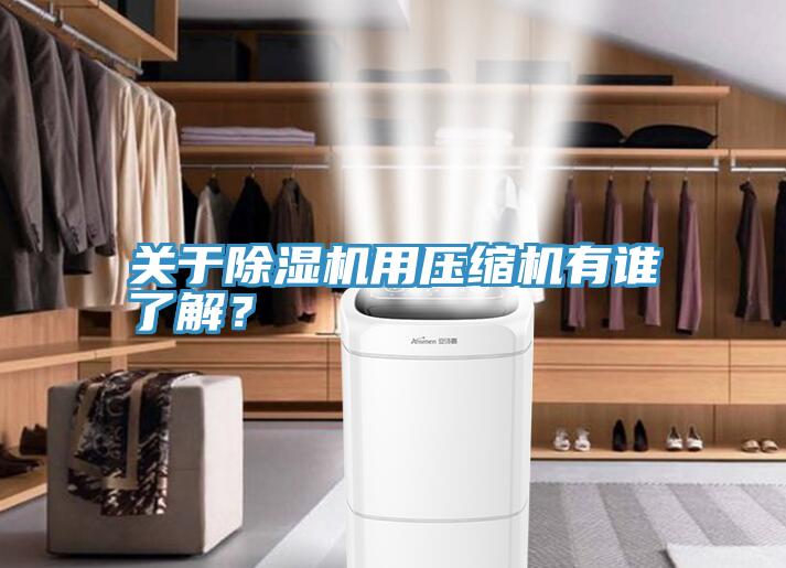 關(guān)于除濕機(jī)用壓縮機(jī)有誰(shuí)了解？