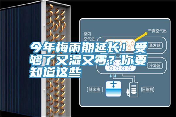 今年梅雨期延長！受夠了又濕又霉？你要知道這些