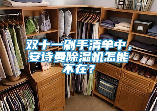 雙十一剁手清單中，安詩曼除濕機怎能不在？