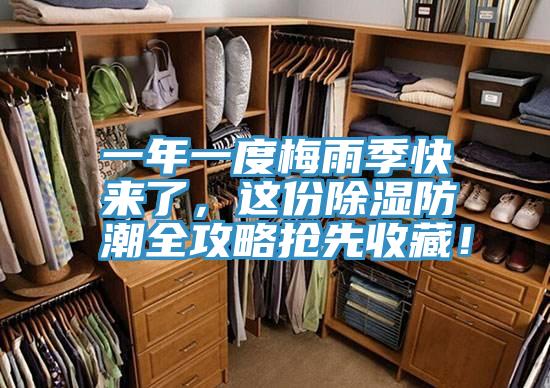 一年一度梅雨季快來了，這份除濕防潮全攻略搶先收藏！