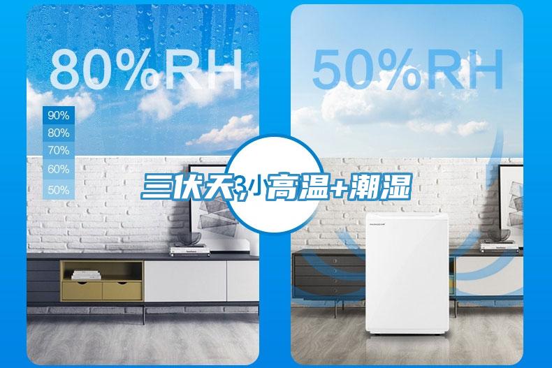 三伏天，高溫+潮濕