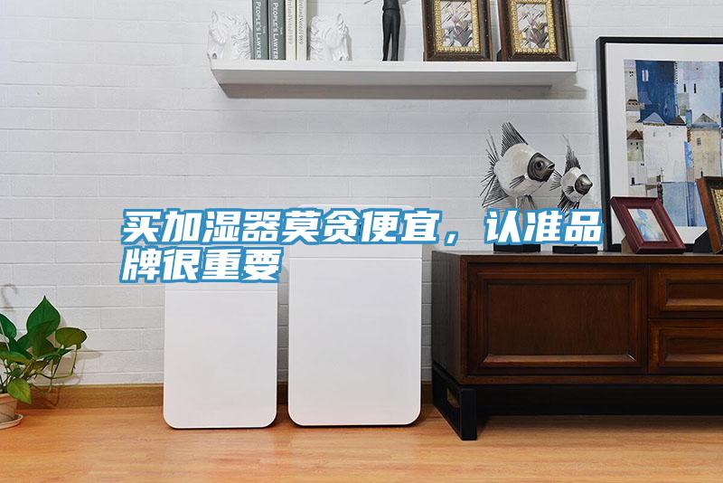 買加濕器莫貪便宜，認準品牌很重要