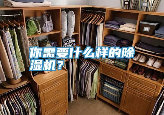 你需要什么樣的除濕機(jī)？