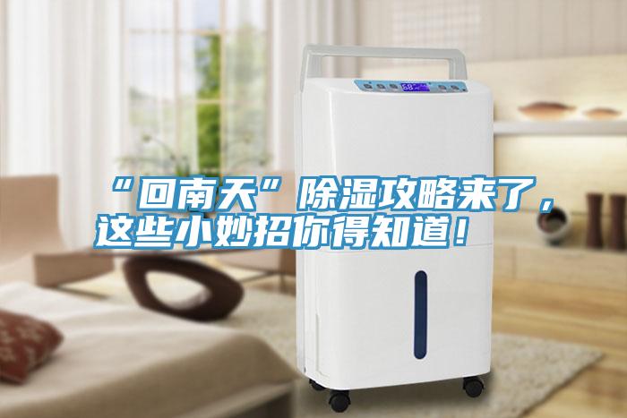 “回南天”除濕攻略來了，這些小妙招你得知道！