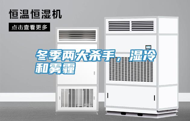 冬季兩大殺手，濕冷和霧霾