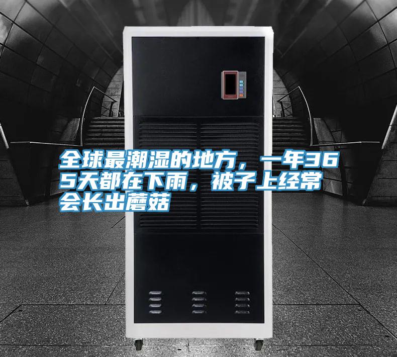 全球最潮濕的地方，一年365天都在下雨，被子上經(jīng)常會長出蘑菇