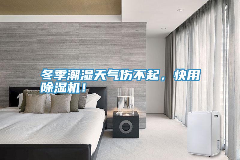 冬季潮濕天氣傷不起，快用除濕機(jī)！