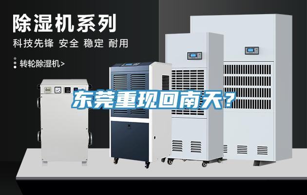 東莞重現(xiàn)回南天？