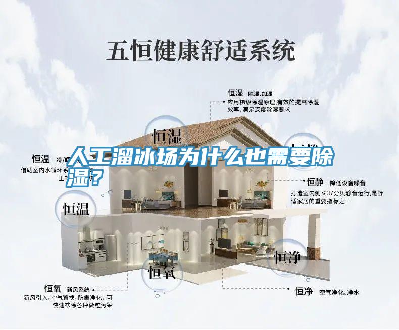 人工溜冰場為什么也需要除濕？