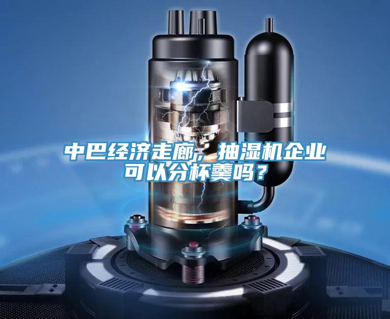 中巴經(jīng)濟(jì)走廊，抽濕機(jī)企業(yè)可以分杯羹嗎？