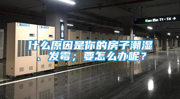 什么原因是你的房子潮濕、發(fā)霉；要怎么辦呢？
