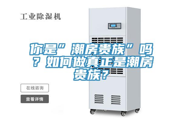 你是”潮房貴族”嗎？如何做真正是潮房貴族？