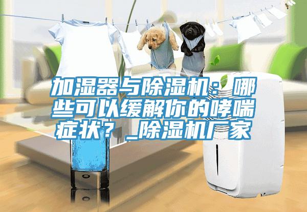 加濕器與除濕機：哪些可以緩解你的哮喘癥狀？_除濕機廠家