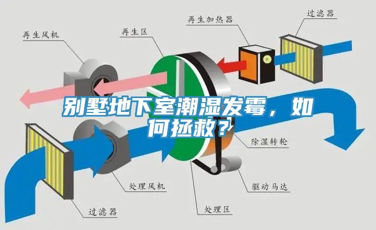 別墅地下室潮濕發(fā)霉，如何拯救？
