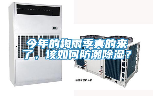 今年的梅雨季真的來了，該如何防潮除濕？