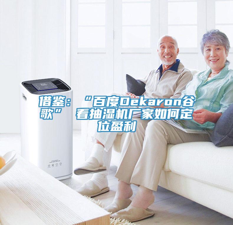 借鑒：“百度Dekaron谷歌” 看抽濕機(jī)廠(chǎng)家如何定位盈利
