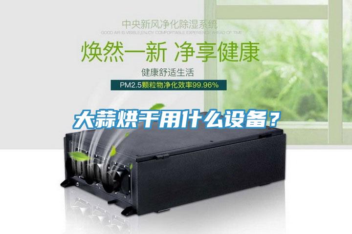 大蒜烘干用什么設(shè)備？