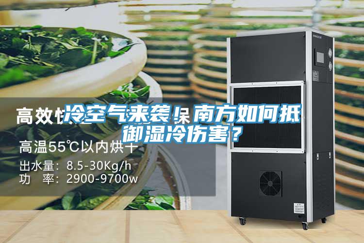 冷空氣來襲！南方如何抵御濕冷傷害？