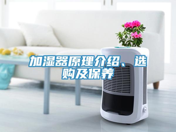 加濕器原理介紹、選購(gòu)及保養(yǎng)