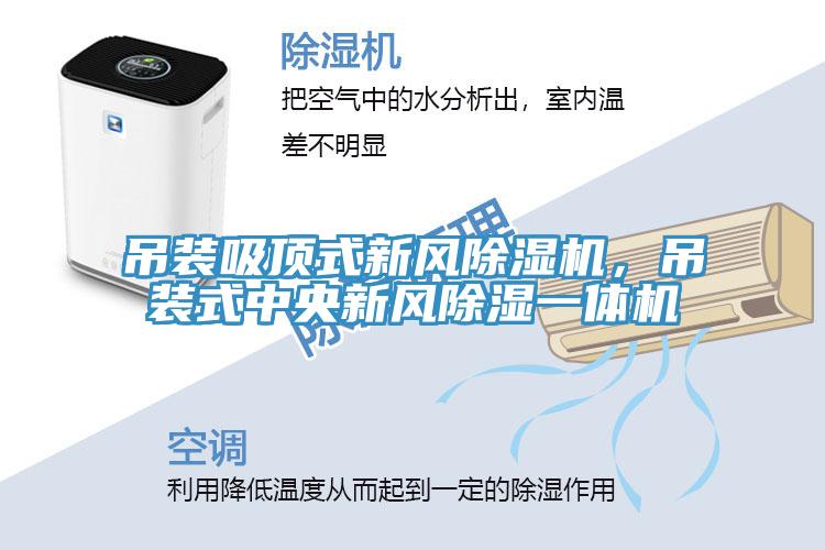 吊裝吸頂式新風(fēng)除濕機(jī)，吊裝式中央新風(fēng)除濕一體機(jī)