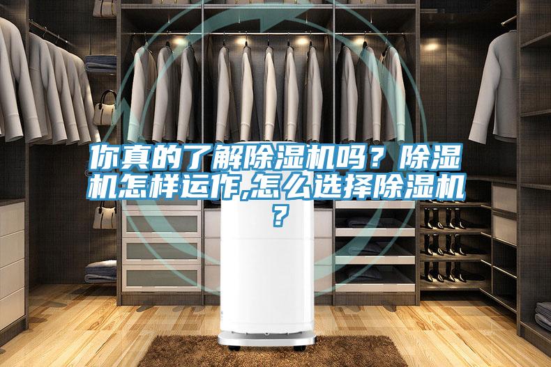 你真的了解除濕機嗎？除濕機怎樣運作,怎么選擇除濕機？