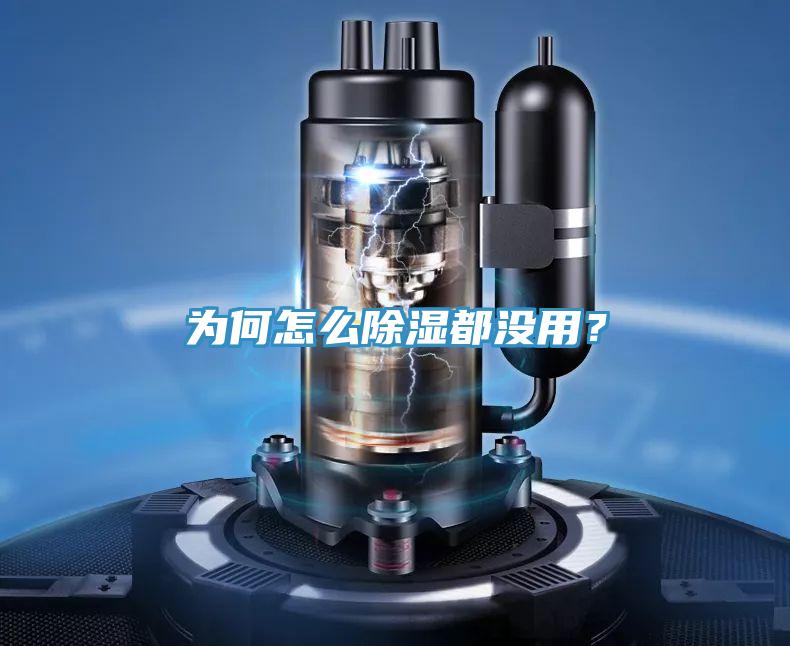 為何怎么除濕都沒(méi)用？
