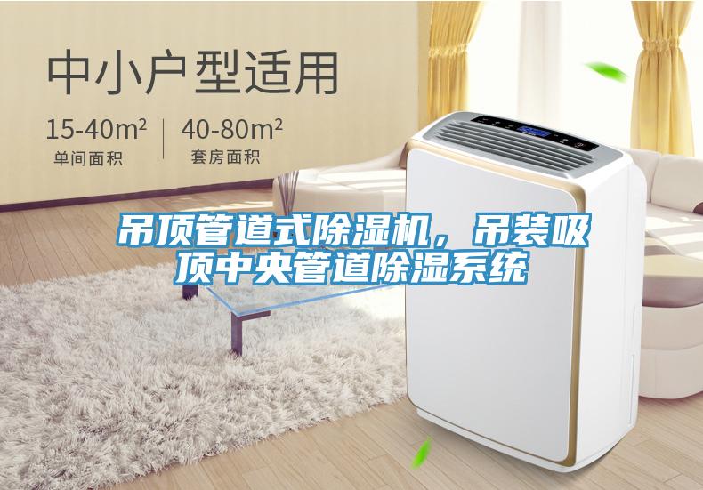 吊頂管道式除濕機，吊裝吸頂中央管道除濕系統(tǒng)