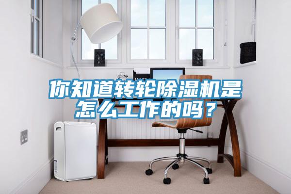 你知道轉(zhuǎn)輪除濕機是怎么工作的嗎？