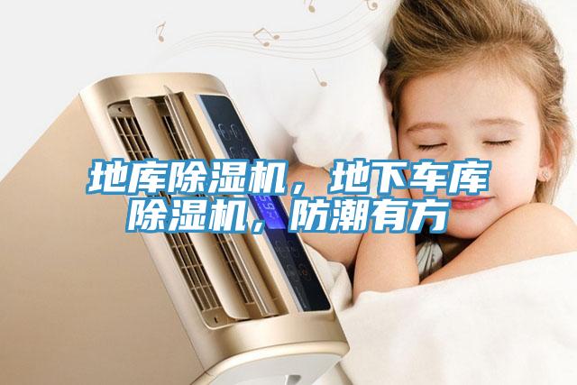 地庫除濕機(jī)，地下車庫除濕機(jī)，防潮有方