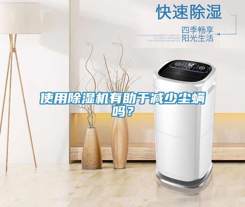 使用除濕機有助于減少塵螨嗎？
