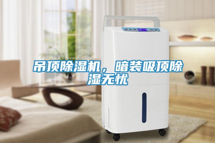 吊頂除濕機(jī)，暗裝吸頂除濕無憂