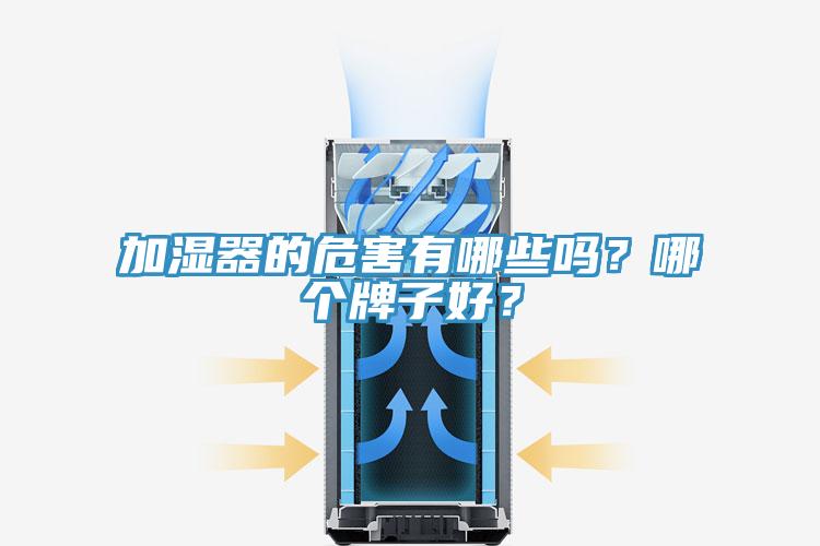加濕器的危害有哪些嗎？哪個(gè)牌子好？