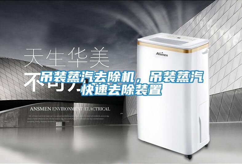 吊裝蒸汽去除機(jī)，吊裝蒸汽快速去除裝置