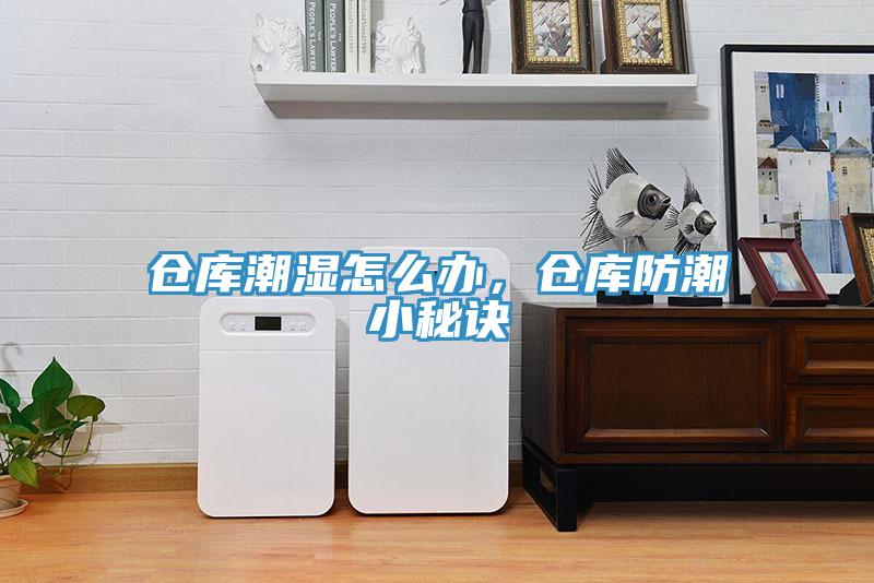 倉庫潮濕怎么辦，倉庫防潮小秘訣